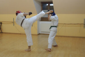 Foto: Zweikampf der Erwachsenen mit Schutzhelm und Boxhandschuhen (grüner und brauner Gurt)